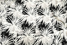 Aquascutum Trench Coat in Monochrome Palm Print, UK16